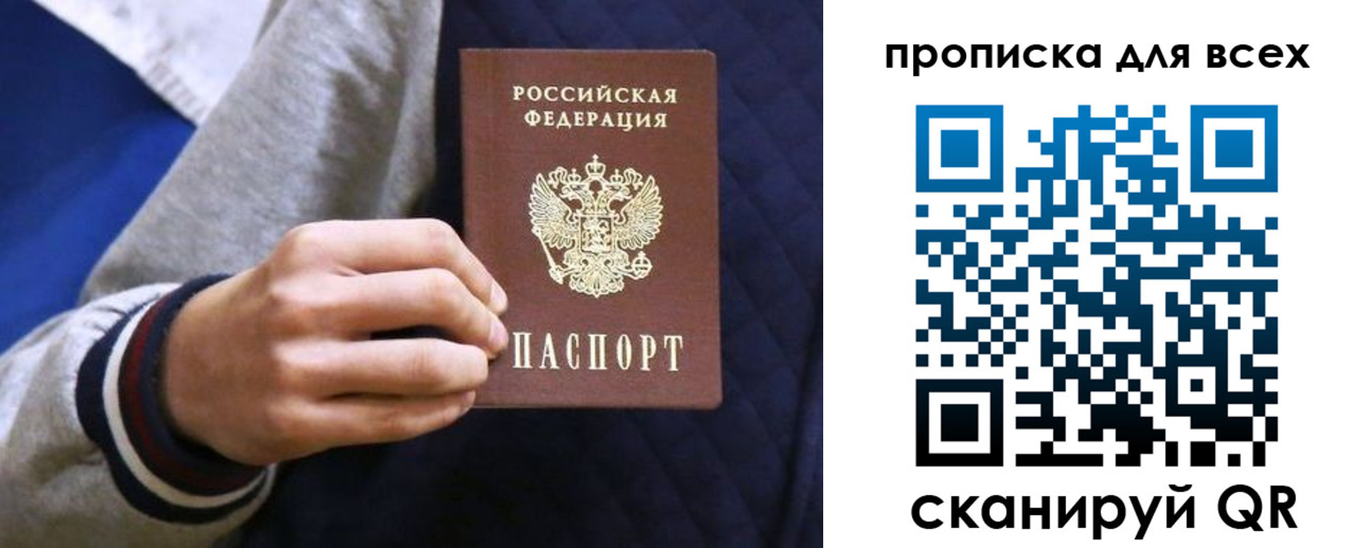 прописка гарантия в Светлогорске