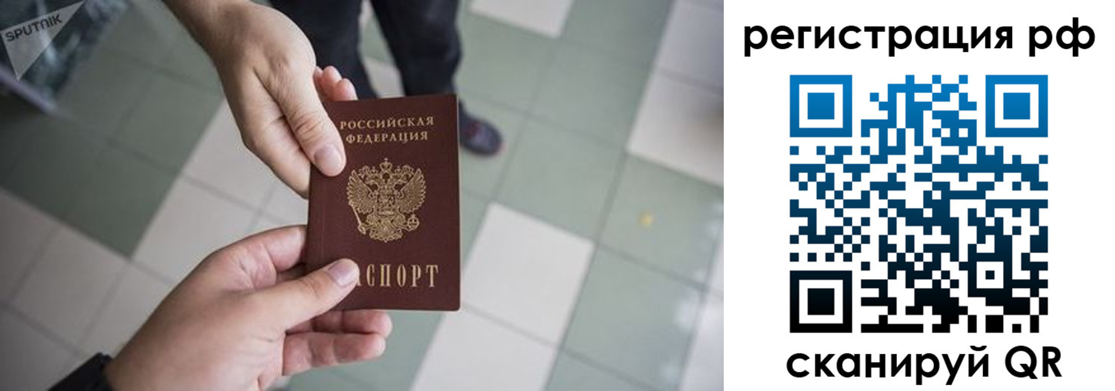прописка для работы в Светлогорске